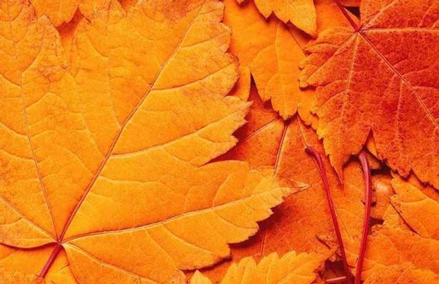 Уход за лицом осенью: какие средства выбрать и что важно знать
