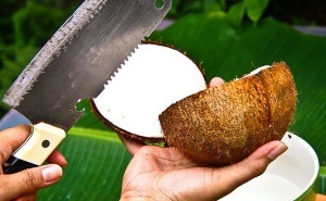 Кокосовое масло для бровей: состав, польза и механизм действия